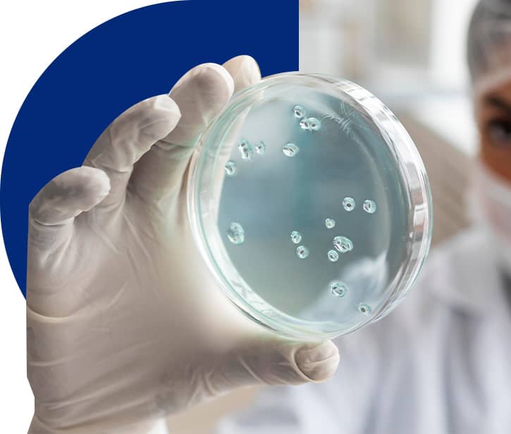 División de Ciencias Biológicas y de la Salud (2)