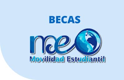 Rectángulo 2225 copia 4