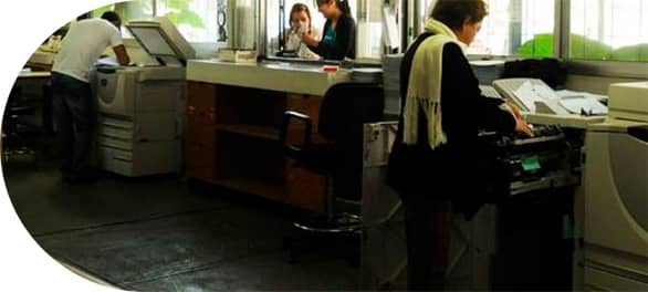 servicios (6)